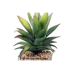 Sil Plantes artificielles dans pot en verre 6.5 x 6.5 x 17 cm (Lot de 3).