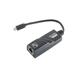 shiverpeaks BASIC-S Adaptateur USB, fiche C mâle - femelle ()