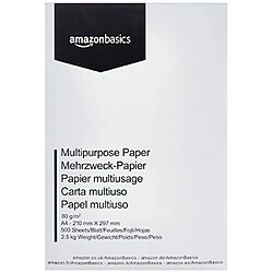 Basics Papier multiusage - 5 rames - 2500 feuilles