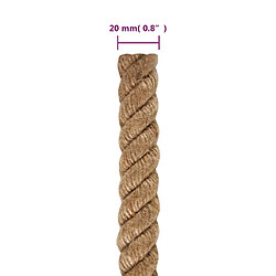 Acheter vidaXL Corde 100 % jute 20 mm 100 m