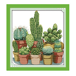 Kit de départ estampé au point de croix, motif de cactus pré-imprimé 14CT 34x35cm