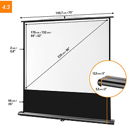 Ecran de projection celexon Manuel Economy 240 x 240 cm