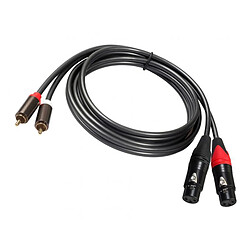 Acheter Câble Double XLR vers RCA