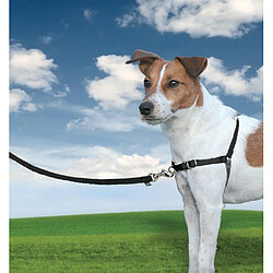 Petsafe - Harnais Easy Walk Premier S