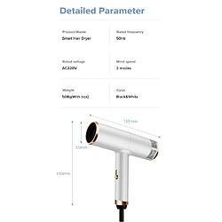 Universal Sèche-cheveux à ions négatifs Air chaud et froid 3 vitesses Diffusion Buse Thermostat Sèche-cheveux Outils de coiffure domestique