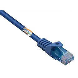 Renkforce RF-5042666 RJ45 Câble réseau, câble patch CAT 5e U/UTP 5.00 m bleu avec cliquet dencastrement 1 pc(s)