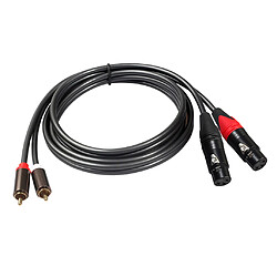 Avis Câble Double XLR vers RCA