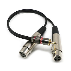 Acheter Câble d'Extension Stéréo Mini Jack Audio 3.5mm à Double XLR Femelles