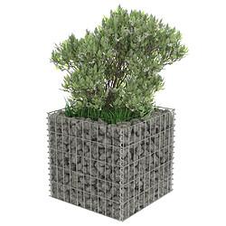 Avis vidaXL Lit surélevé à gabion Acier galvanisé 50x50x50 cm