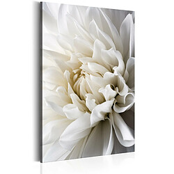 Artgeist Tableau - White Dahlia [20x30]