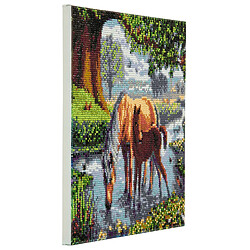 Megacrea Tableau Strass Diamant Crystal Art Chevaux 30cm - KIT DIAMANT