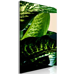 Decoshop26 Dieffenbachia - 80x120