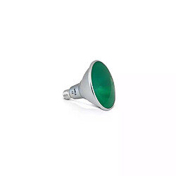 Ampoule LED E27 AC220/240V 16W 38° Etanche IP65 Vert Ø122mm - RGB 