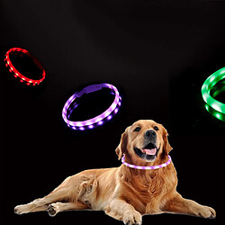 LED Collier de Chien, USB Rechargeable Glowing Collier pas cher