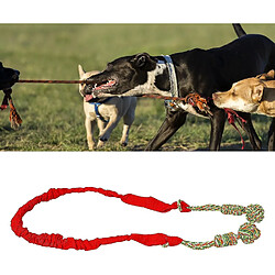 Avis Jouet de Corde de Traction Pour Chien Jouet à Mâcher Pour Animaux De Compagnie Dents Résistantes Aux Morsures Grincement Interactif Jouet De Corde Pour Animaux De Compagnie Suspendu Pour Porte Intérieure Extérieure (noir)