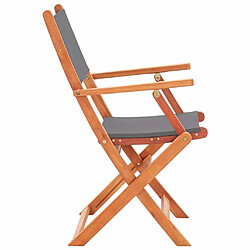 Acheter Maison Chic Lot de 2 Chaises pliables de jardin - Fauteuil d'extérieur Gris Eucalyptus et textilène -MN43532