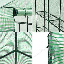 Helloshop26 Serre de jardin vale en acier et polyéthylène avec étagères intégrées 120 x 170 x 194 cm vert 03_0008258 pas cher