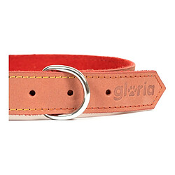 Acheter Collier pour Chien Gloria Oasis Rouge (1,5 x 40 cm)