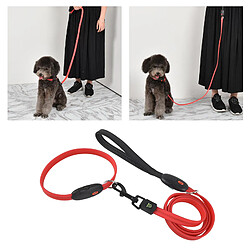 Laisse de corde de traction pour chiens pas cher