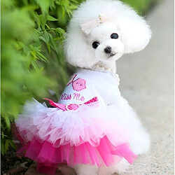 Wewoo Vêtements pour chiens Robe en dentelle Princesse Chihuahua animaux domestiquesTaille XXL rose