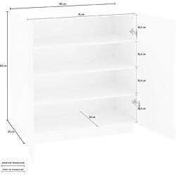 Acheter Alter Étagère à chaussures moderne, Made in Italy, avec 2 portes, Étagère à chaussures d'entrée, Meuble polyvalent, 80x38h86 cm, couleur blanc brillant