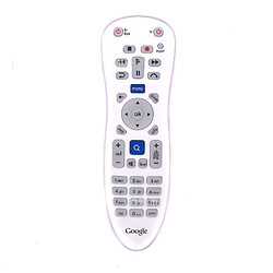 GUPBOO Google RC1534059/01B pour Google TV TR universel