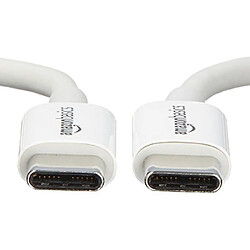 Basics USB 2.0 Type C to Type C Cable - 6 feet 1.8 Meters - White