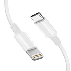 Mayaxess Câble iPhone USB-C vers Lightning – 1 mètre Blanc pas cher