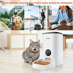 Avis BALIMO WIFI Distributeur de Croquettes 3L pour Chats/Chiens Télécommande Téléphone portable LCD,Adaptateur Secteur/Batterie,Fonction d'enregistrement