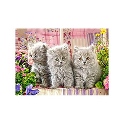 Three Grey Kittens, Puzzle 260 Teile - Castorland