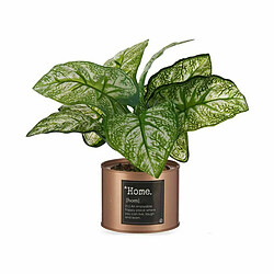 Ibergarden Plante décorative Home Cuivre Cannette (26 x 26 x 26 cm) (6 Unités)