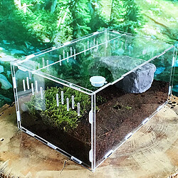 Acheter Universal Transparent grand verre acrylique durable Reptiles Animaux de compagnie Fournitures pour animaux à sang froid Reptiles Animaux de compagnie Insectes Décoration maison | Verre moulé