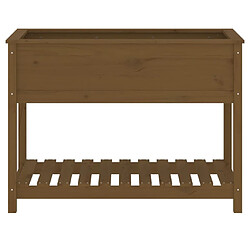 Acheter vidaXL Jardinière avec étagère Marron miel 111,5x54x81 cm Bois de pin