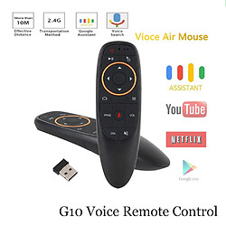 Universal Télécommande G10 Voix 2.4G Wireless Air Mouse Infrarouge Apprentissage Smart TV Box Télécommande pas cher