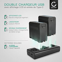 CELLONIC® Set de 2 Batteries Appareil photo 10200mAh et Double Chargeur Compatible avec Sony AX1 VX2000 VX2100 HDR-FX1 FX7 PD150