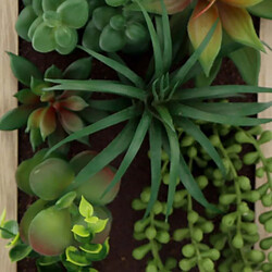 Acheter Sil Cadre mural avec plante succulente artificielle 20 x 30 cm.