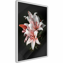 Paris Prix Affiche Murale Encadrée Pale Pink Lilies 20 x 30 cm Blanc