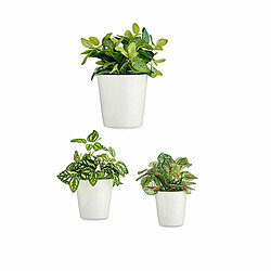 Ibergarden Set de pots Ø 14 cm Ø 22 cm Ø 17 cm Cónica 3 Pièces Blanc