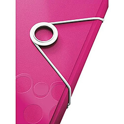 Acheter Porte-documents Leitz WOW Fuchsia A4 (5 Unités)