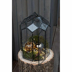 Avis Paris Prix Terrarium en Verre Vintage Brisla 38cm Noir