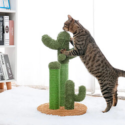 Universal Cactus rasé, chat rampant, cadre, chat sabre, jouet.