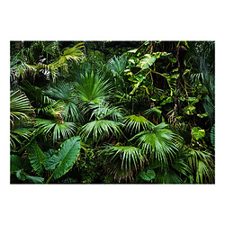 Artgeist Papier peint Sunny Jungle - 100x70 cm