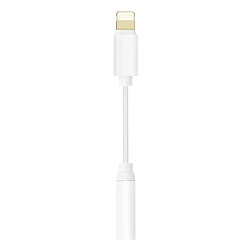 Avizar Adaptateur audio iPhone Lightning mâle vers Jack 3.5mm femelle Blanc