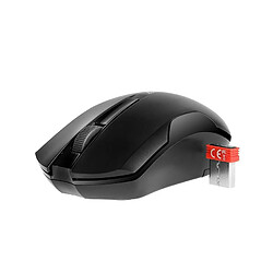 Souris sans fil A4Tech V-Track G3-200N Portée 10m