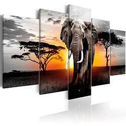 Artgeist Tableau - Elephant at Sunset [100x50]