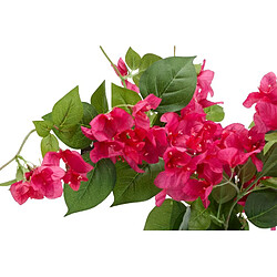 But Bougainvilliers H. 76 cm Assorti