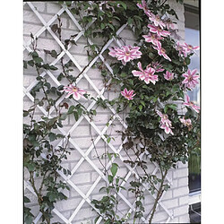 Nature Palissade de jardin 50 x 150 cm PVC Blanc