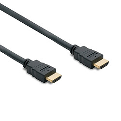 Metronic Câble HDMI High Speed mâle/mâle 5 m 