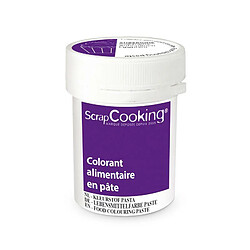 Scrapcooking Colorant alimentaire en pâte 20 g - Aubergine