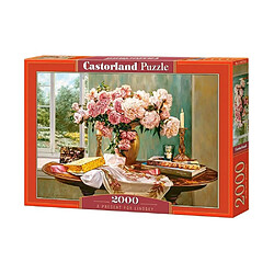 Castorland Puzzle 2000 pièces : Un cadeau pour Lindsey